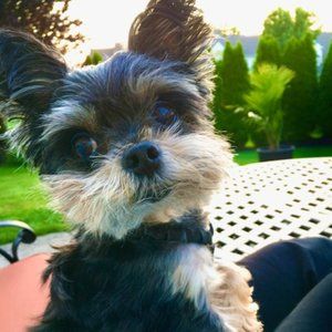 Meet your Posher, Angelina